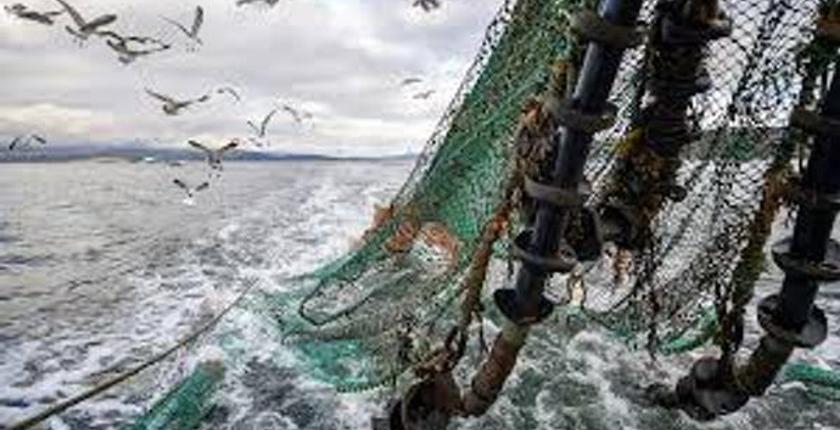 Im Hafen von Al Hoceima ist ein leichter Anstieg der Fischereianlandungen zu verzeichnen