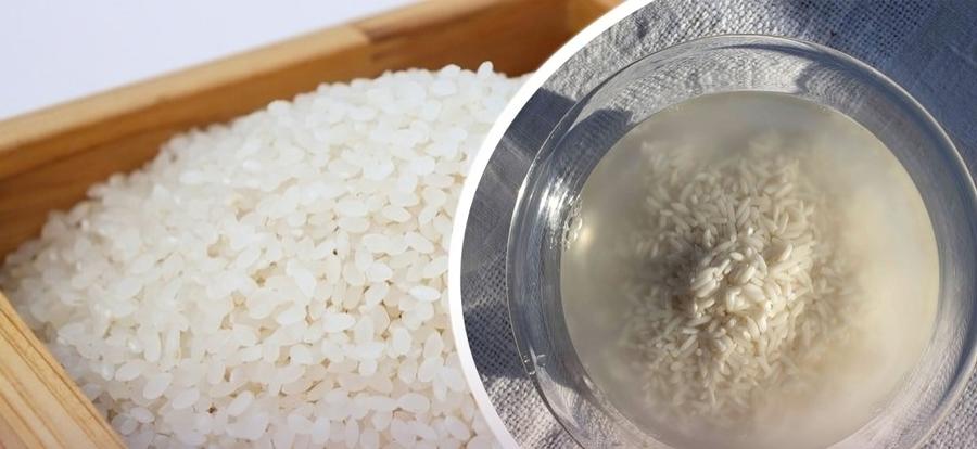 La Locura de "Rice-Zempic": Expertos Opinan sobre la Tendencia Viral de Pérdida de Peso