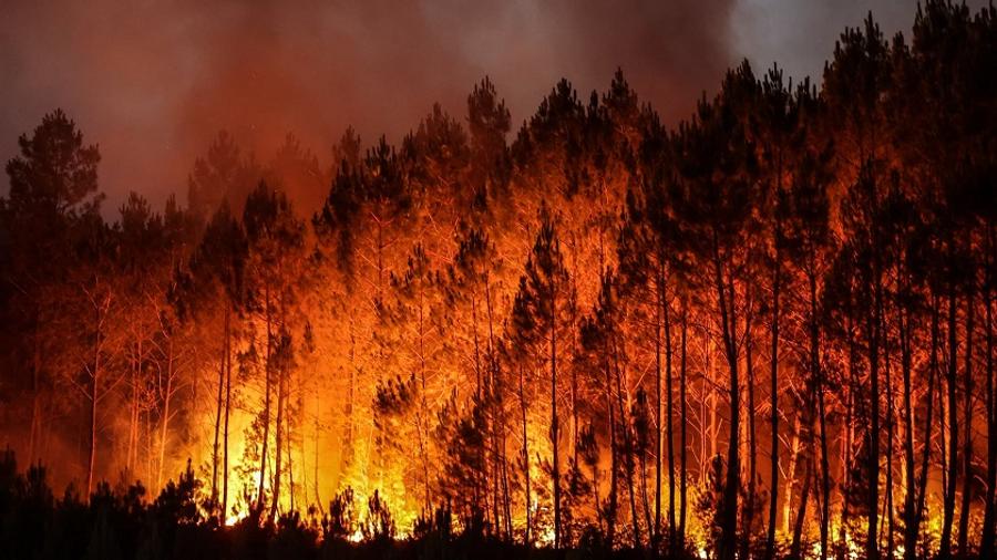 Risque élevé d'incendies de forêts dans plusieurs provinces du Maroc du 22 au 24 juin