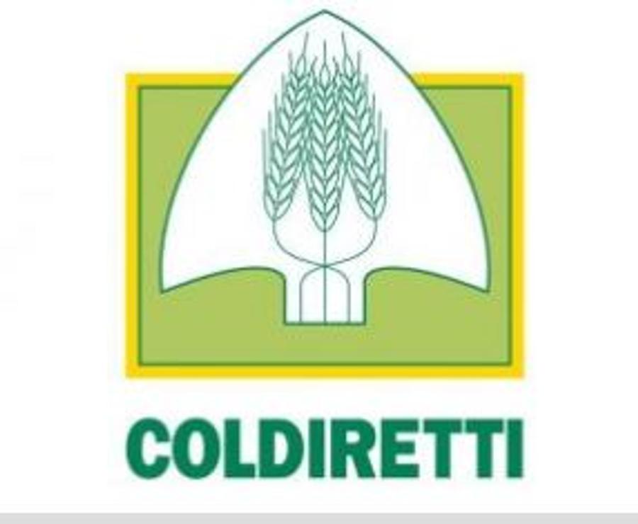 Federazione Italiana: Il Paese è diviso tra maltempo e caldo estremo