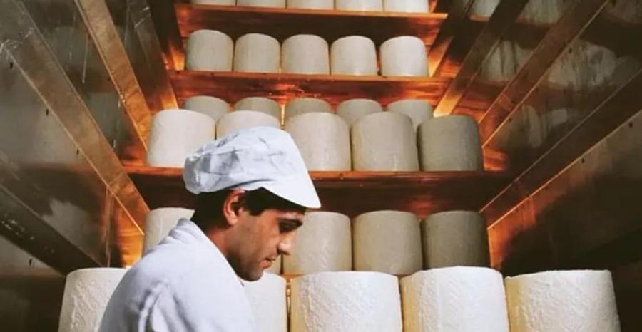 Agroalimentare, l'Italia è 14/ma in Ue per ricavi delle imprese