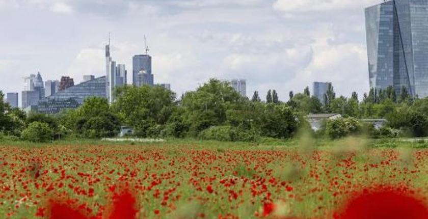 Jetzt kommt die Zinssenkung - was das für Verbraucher bedeutet