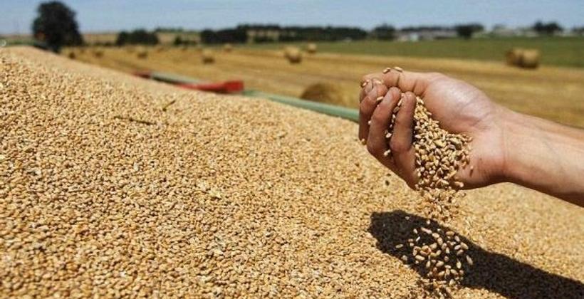 بالأرقام.. ارتفاع واردات المغرب من القمح خلال 2022