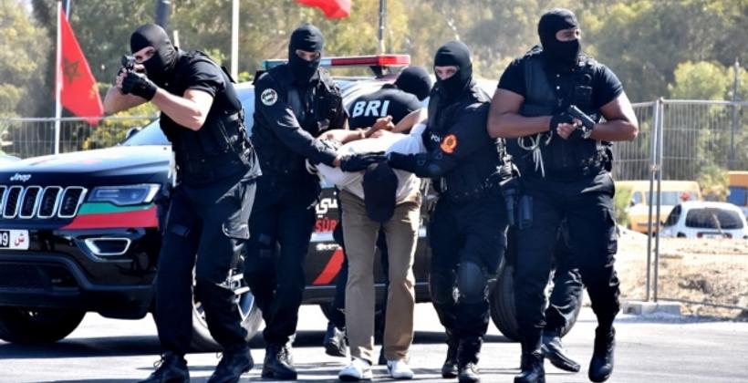 النمسا تشيد بالدور المحوري للمغرب في مكافحة الإرهاب والهجرة