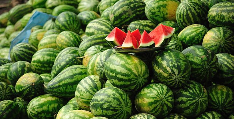 مكتب "أونسا" يوضح بشأن شحنة "الدلاح المسموم"
