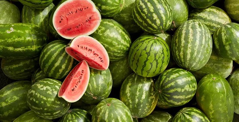 مجموعة "مرجان" تخرج عن صمتها بشأن شحنة الدلاح "الفاسدة"