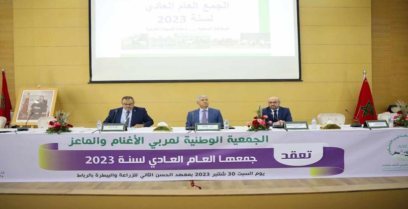 السيد محمد صديقي يؤكد أهمية قطاع تربية المواشي في ترسيخ الأمن الغذائي