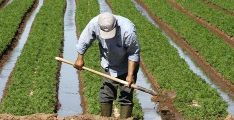 أمطار الخير تبعث الأمل في نفوس الفلاحين