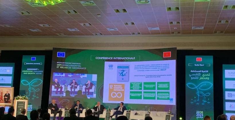 تأثير التنمية المستدامة على سلاسل الإنتاج العالمية