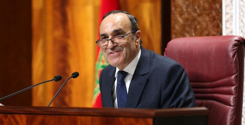 الحبيب المالكي يتباحث مع رئيسة المجلس الوطني للتربية بهولندا