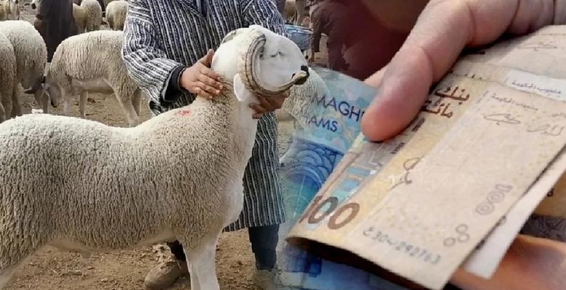 توقع ارتفاع أسعار أضاحي العيد بالمملكة