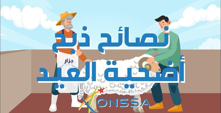 بالفيديو.. نصائح "أونسا" الصحية لذبح أضحية العيد