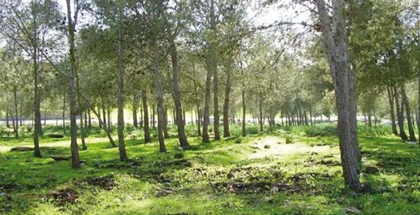 Tenue de la première réunion du CA de l’Agence Nationale des Eaux et Forêts