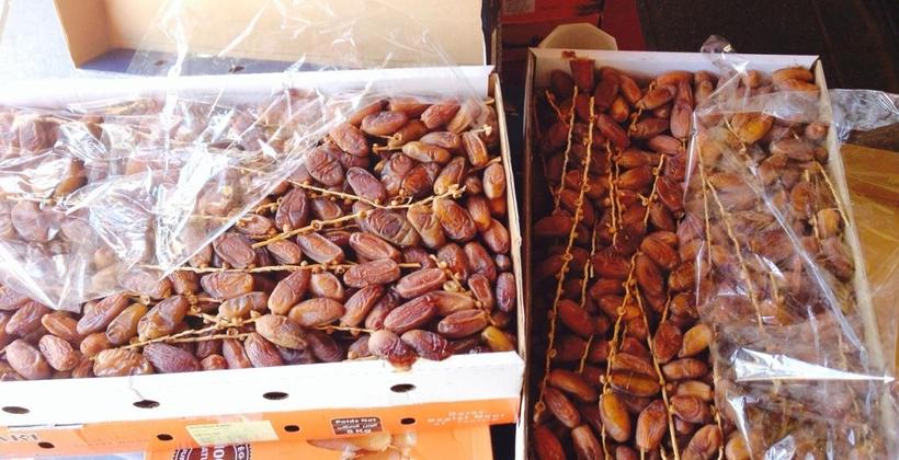 بعد الحديث عن تمور "مسرطنة" بالمملكة.. "بايتاس" يوضح بشأن التمور المستوردة 