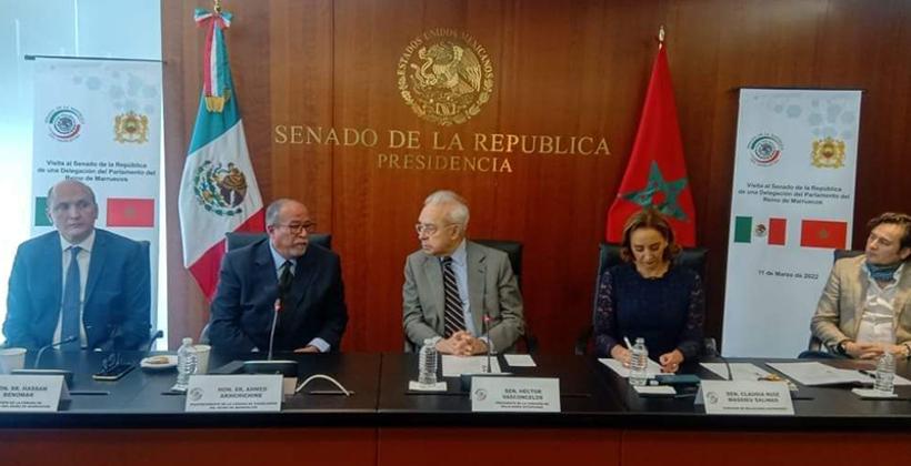 مكسيكو.. تسليط الضوء على التزام المغرب الثابت لصالح التعاون جنوب - جنوب