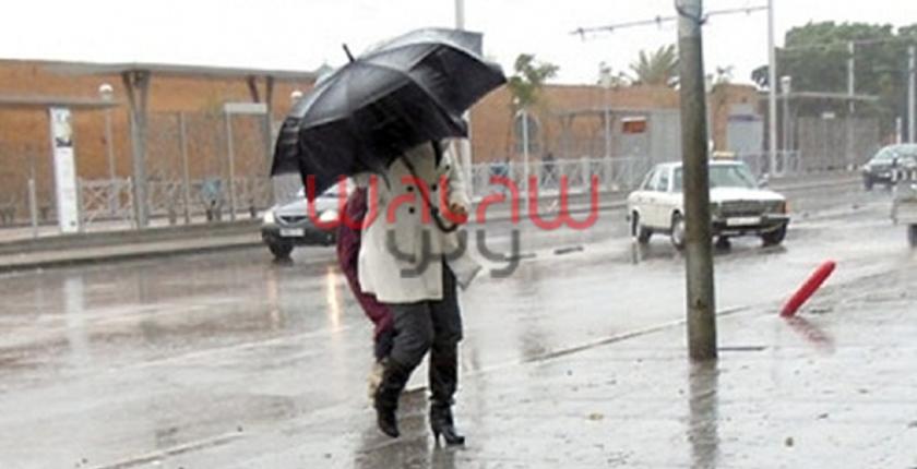 نشرة الطقس: زخات مطرية خفيفة وضباب في عديد مدن المملكة