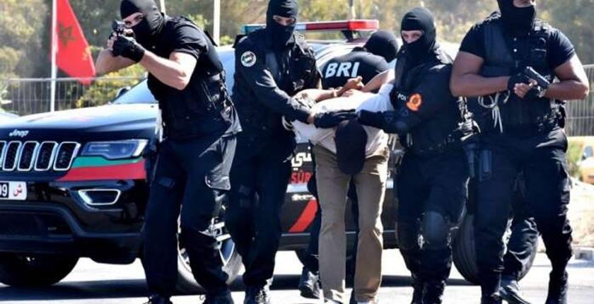 "الدخيسي" يستعرض استراتيجية المغرب في محاربة الجريمة المنظمة