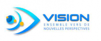 Vision business consulting