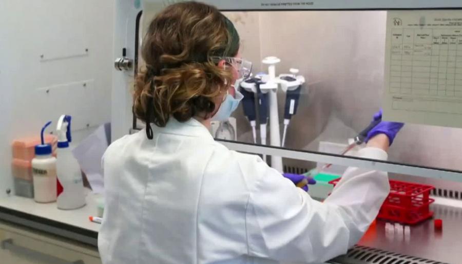 Vacunas de ARNm personalizadas logran supervivencia prolongada en cáncer pancreático
