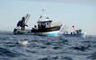 Maroc : recul des débarquements de pêche en Méditerranée malgré la hausse de certaines espèces
