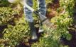     Le Maroc retrouve le souffle de son agriculture
