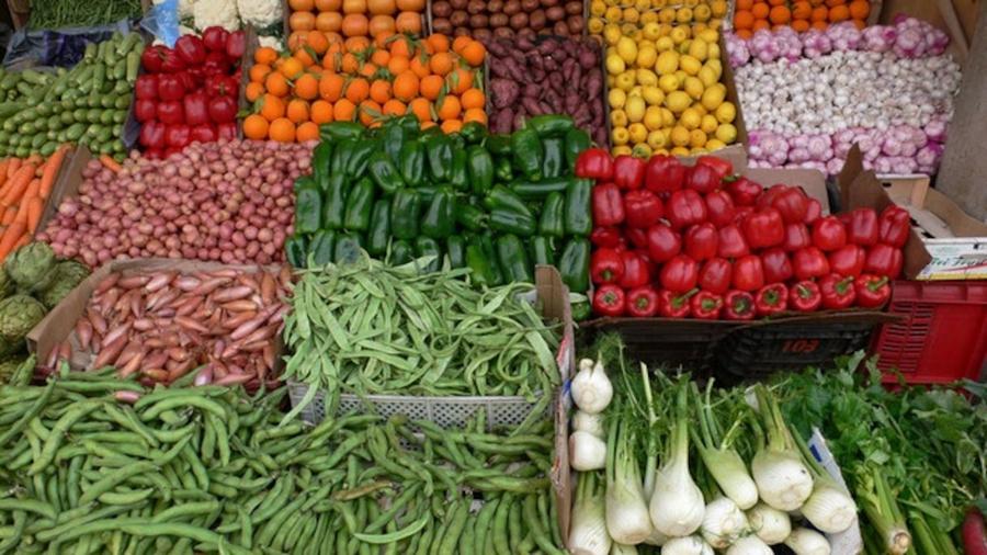 Exportations agricoles : le Maroc face aux nouveaux défis des marchés mondiaux
