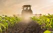 Morocco cereal harvest set to reach 90 million quintals