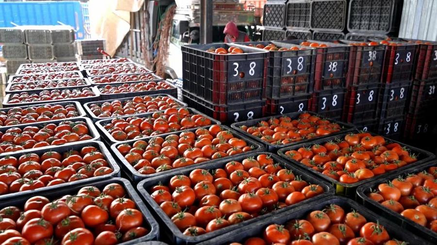 Casablanca : les viandes rouges reculent, les tomates repartent à la hausse