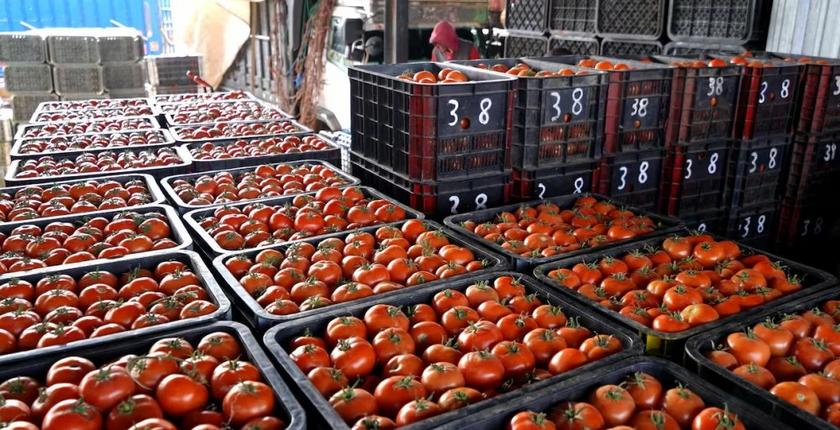 Casablanca : les viandes rouges reculent, les tomates repartent à la hausse