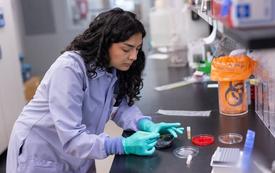 Scientists disable protein folding to weaken antibiotic resistant bacteria
