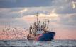     Pêche à Boujdour : un premier trimestre marqué par un net ralentissement