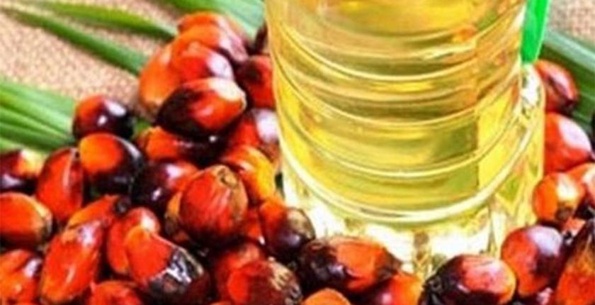 आईवीपीए का कहना है कि पश्चिम एशिया में चल रहे संघर्ष के कारण भारत का खाद्य तेल आयात आपूर्ति-आधारित स्रोतों की ओर बढ़ रहा है।