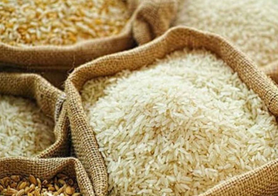 Morocco launches probe into rice imports amid pressure on farmers