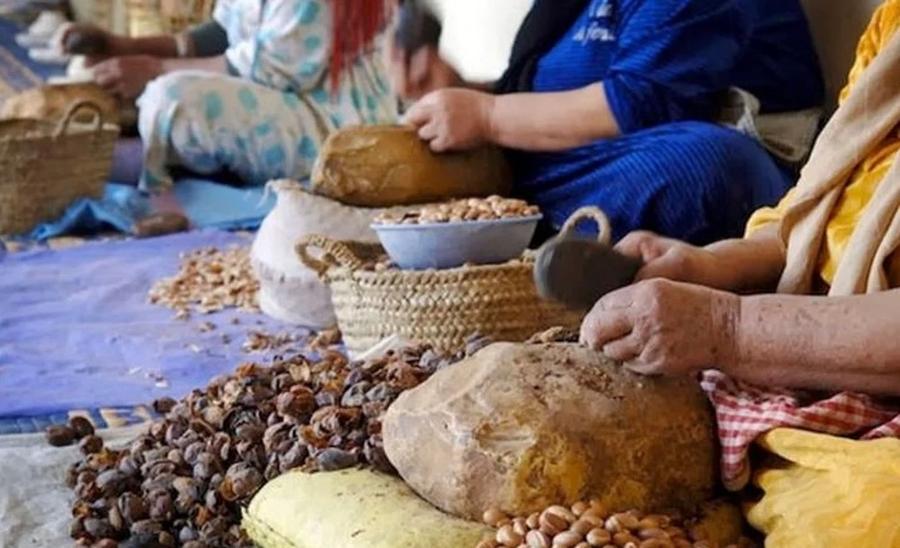     Une nouvelle loi pour redessiner l’avenir des coopératives au Maroc