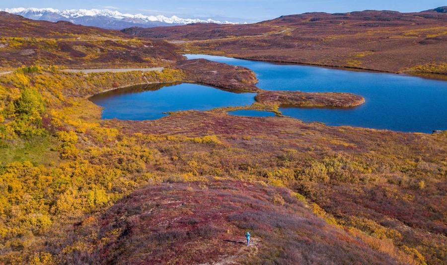 Scientists outline 50 urgent questions to protect global peatlands
