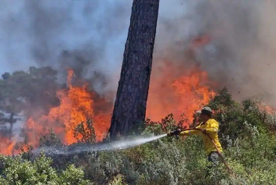 Lutte contre les incendies de forêts : Le Maroc mobilise 150 millions de dirhams pour la campagne 2026
