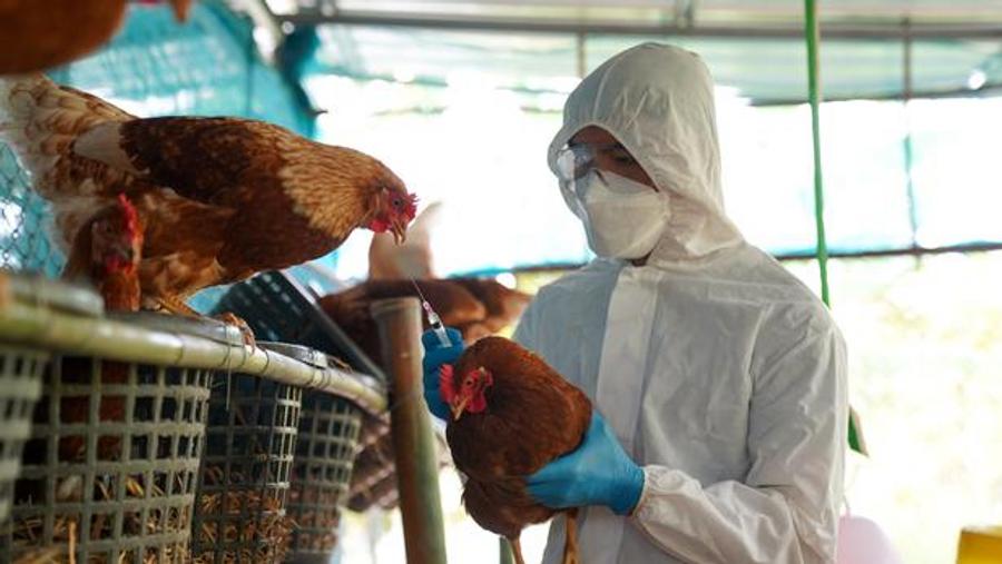 France lowers avian influenza risk level from high to moderate