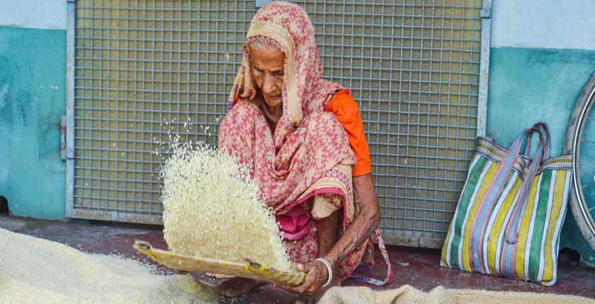 उत्तर प्रदेश के पीलीभीत में भारत का पहला एकीकृत बासमती, जैविक प्रशिक्षण-सह-प्रदर्शन फार्म स्थापित किया जाएगा।