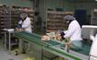 Investissement : L'agro-industrie en plein essor dans la région Fès-Meknès avec une hausse record de 71%