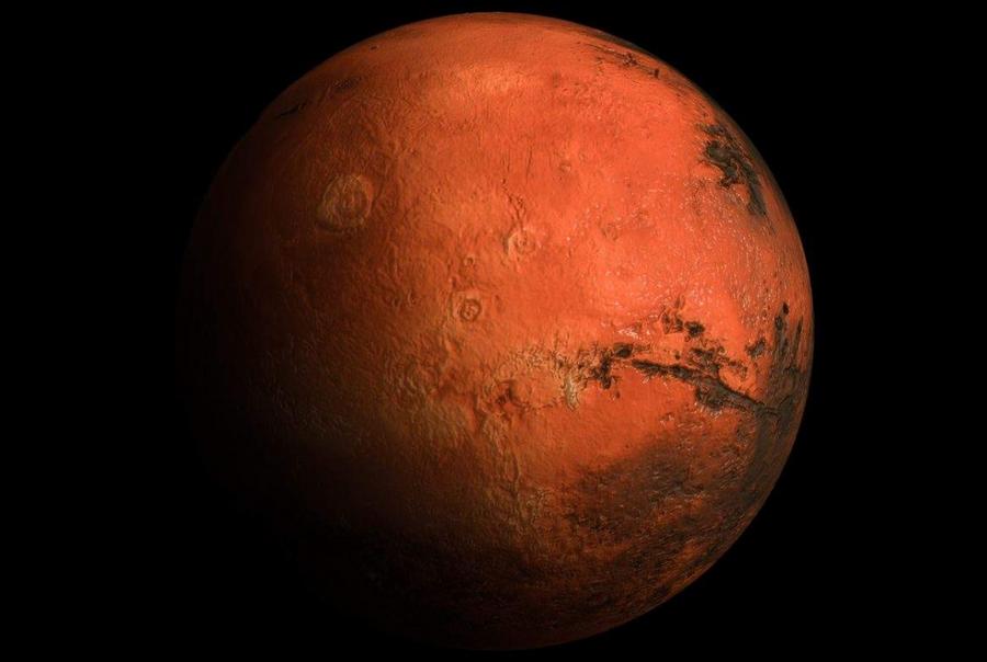 Fungus from NASA clean rooms survives simulated Mars journey conditions