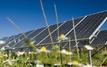 Solar leads global energy growth for first time, IEA reports