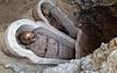 Homer iliad papyrus found inside egyptian mummy in rare discovery