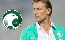 الاتحاد السعودي يبلغ هيرفي رونار بقرار إقالته