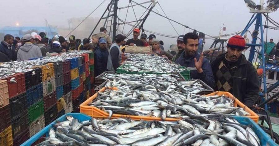 Pêche maritime au Maroc : lancement d’un numéro vert pour renforcer la transparence et l’intégrité