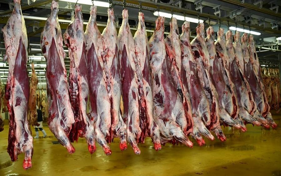 Casablanca : hausse des prix des viandes rouges et des légumes sur les marchés de gros
