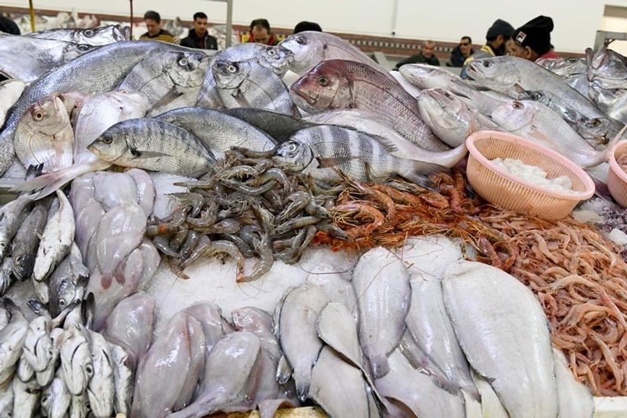 Le Maroc renforce ses importations de hareng norvégien à un niveau record