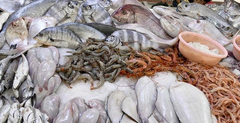 Le Maroc renforce ses importations de hareng norvégien à un niveau record