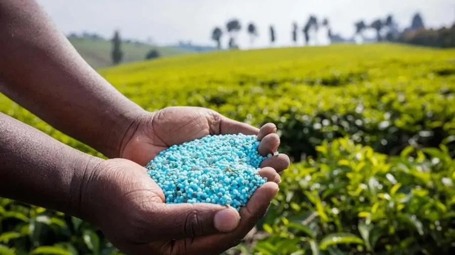 La Turquie renforce ses liens avec le Maroc pour sécuriser ses approvisionnements en engrais