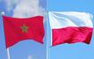 Défense : le Maroc et la Pologne renforcent leur coopération stratégique