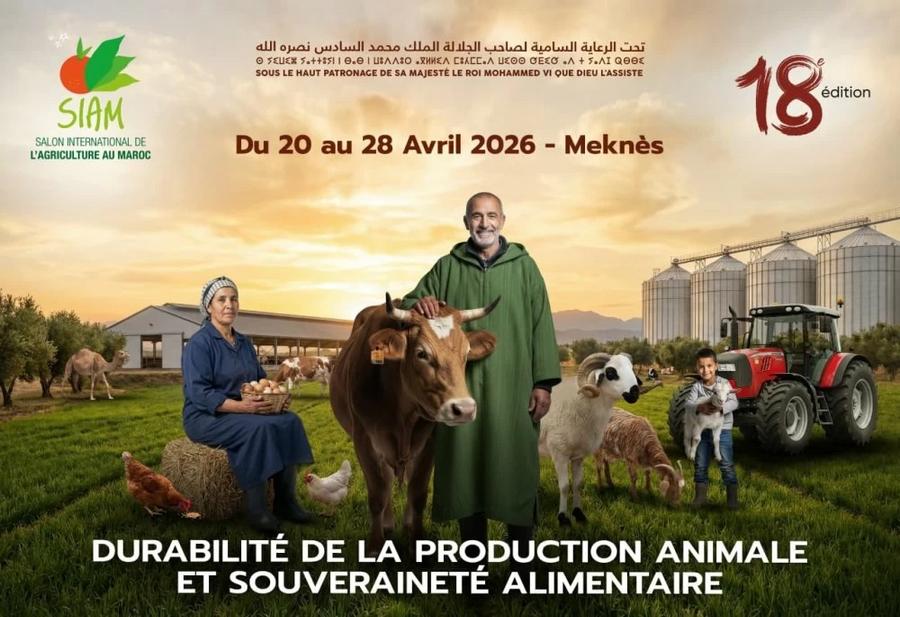 SIAM 2026 : l’Espagne renforce sa présence avec un pavillon axé sur l’innovation agricole durable